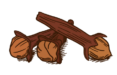 spices