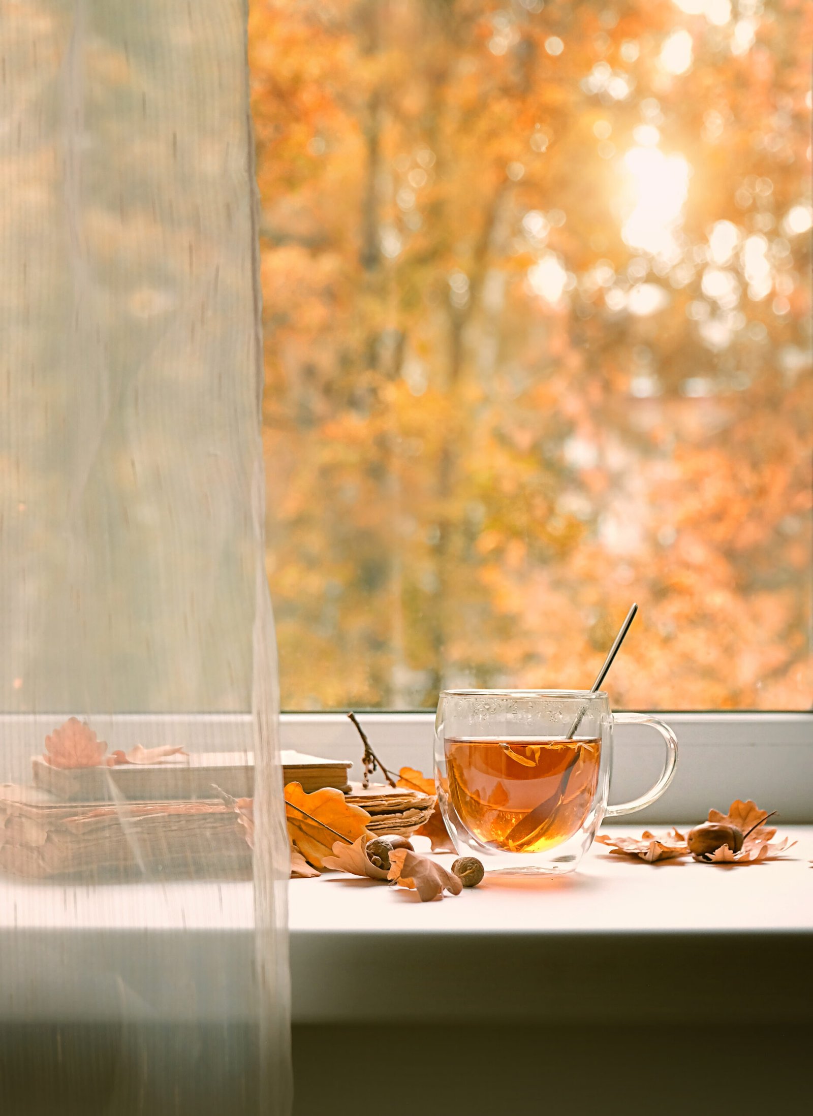 autumn season background. tea cup, leaves, acorns, boooks on windowsill. Beautiful fall time. cozy autumn home interior. copy space.