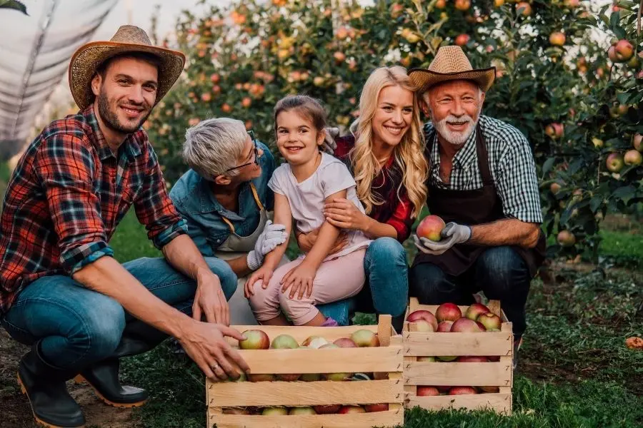 family business success stories: orchards owners
